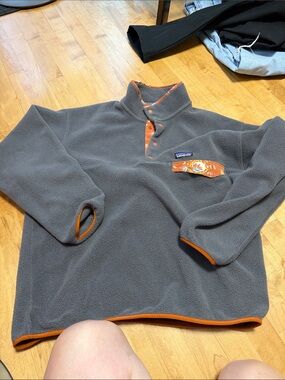 Patagonia synchilla snap sweater